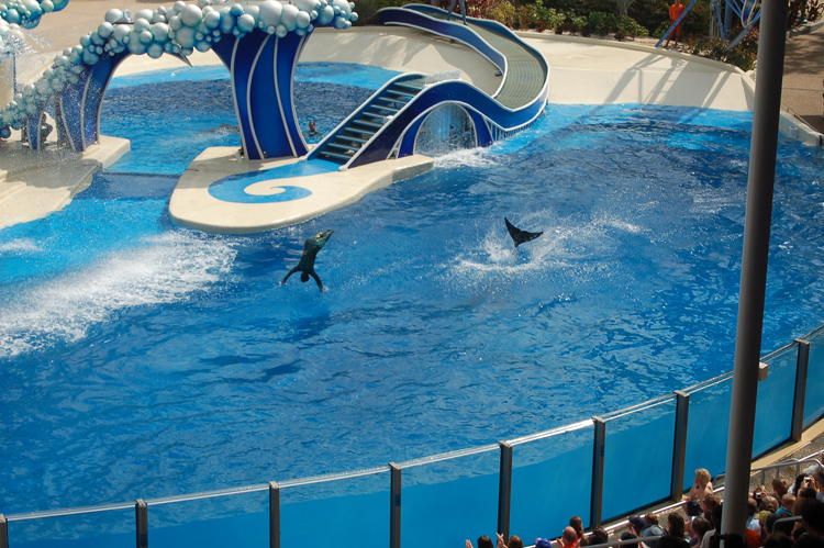 07-03-02, 077, Blue Horizons, Sea World, FL