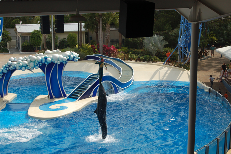 07-03-02, 078, Blue Horizons, Sea World, FL