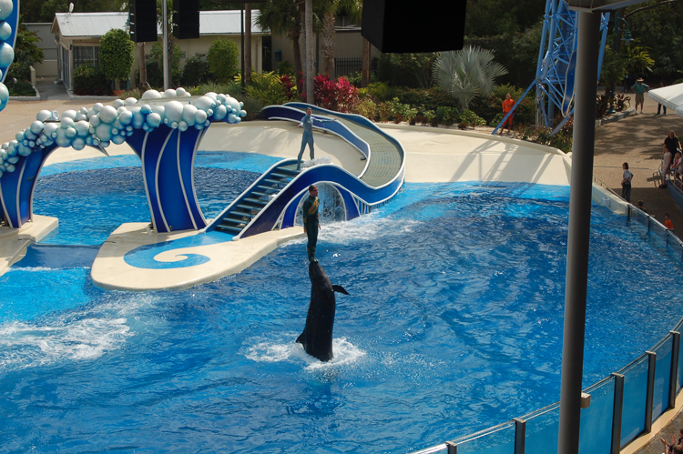 07-03-02, 079, Blue Horizons, Sea World, FL