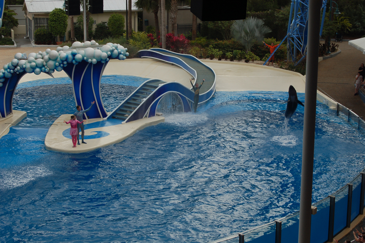 07-03-02, 081, Blue Horizons, Sea World, FL