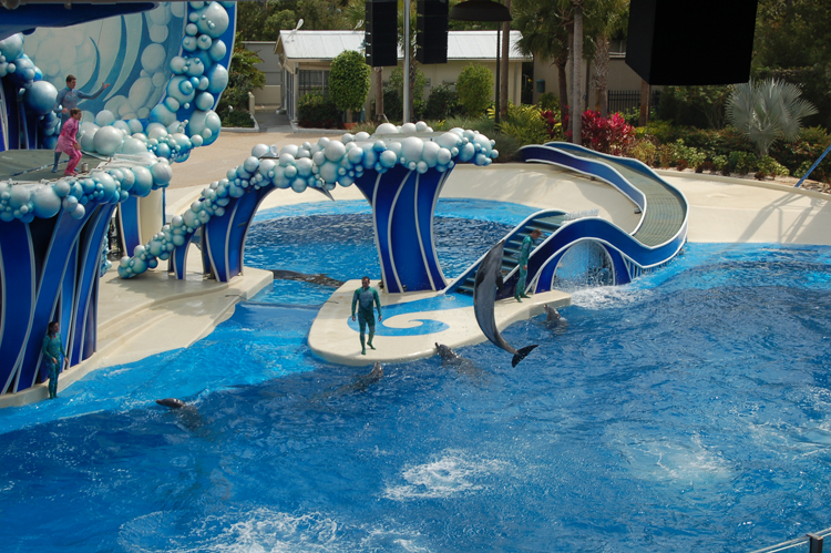 07-03-02, 086, Blue Horizons, Sea World, FL