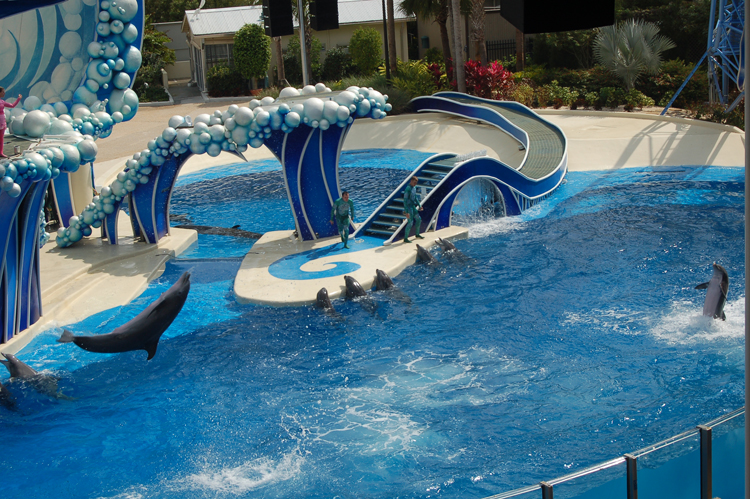 07-03-02, 088, Blue Horizons, Sea World, FL