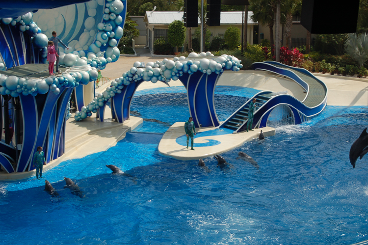 07-03-02, 089, Blue Horizons, Sea World, FL