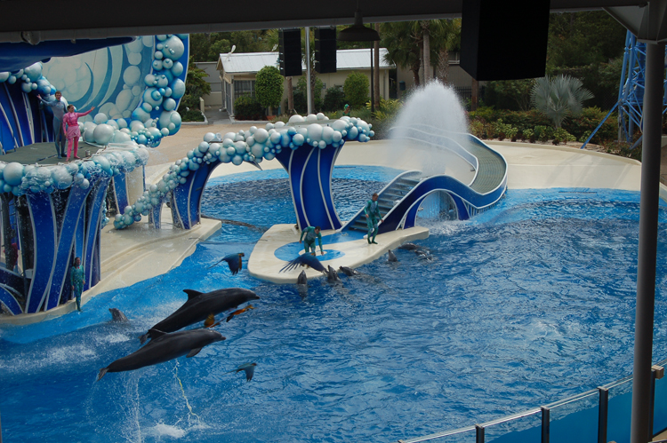 07-03-02, 090, Blue Horizons, Sea World, FL