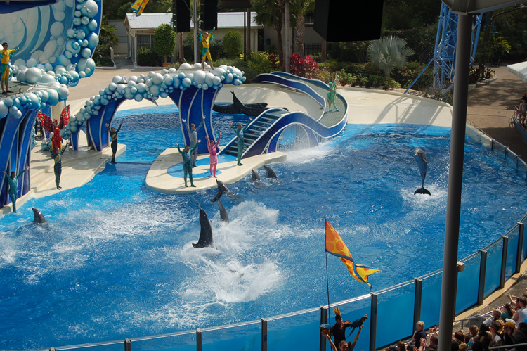 07-03-02, 092, Blue Horizons, Sea World, FL