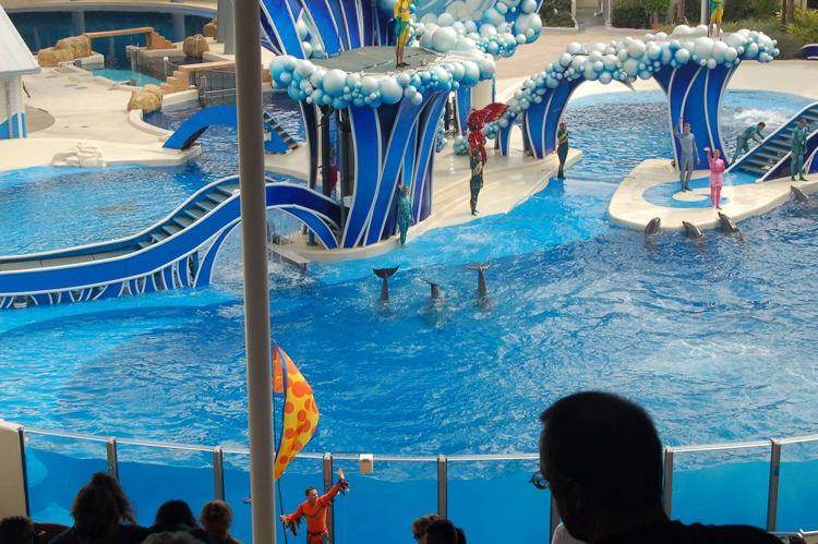07-03-02, 093, Blue Horizons, Sea World, FL
