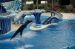 07-03-02, 065, Blue Horizons, Sea World, FL