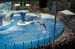 07-03-02, 066, Blue Horizons, Sea World, FL