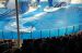 07-03-02, 067, Blue Horizons, Sea World, FL