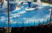 07-03-02, 070, Blue Horizons, Sea World, FL