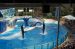 07-03-02, 071, Blue Horizons, Sea World, FL