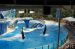 07-03-02, 072, Blue Horizons, Sea World, FL
