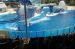 07-03-02, 073, Blue Horizons, Sea World, FL