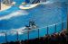 07-03-02, 074, Blue Horizons, Sea World, FL