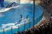 07-03-02, 075, Blue Horizons, Sea World, FL
