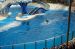 07-03-02, 077, Blue Horizons, Sea World, FL