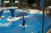 07-03-02, 079, Blue Horizons, Sea World, FL