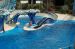 07-03-02, 080, Blue Horizons, Sea World, FL