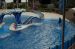 07-03-02, 081, Blue Horizons, Sea World, FL