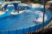 07-03-02, 082, Blue Horizons, Sea World, FL