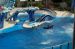 07-03-02, 084, Blue Horizons, Sea World, FL