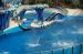 07-03-02, 085, Blue Horizons, Sea World, FL