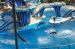 07-03-02, 087, Blue Horizons, Sea World, FL