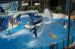 07-03-02, 091, Blue Horizons, Sea World, FL