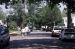 07-05-26, 069, Memorial Day Parade, Saddle Brook, NJ