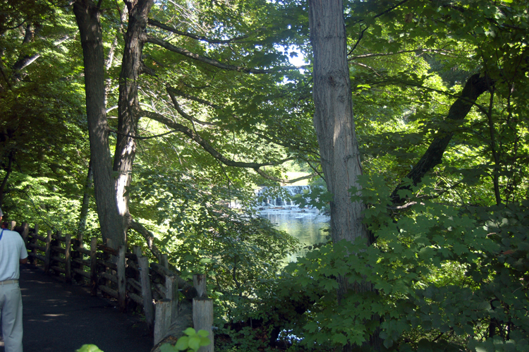 07-07-06, 002, Bronx Zoo, NYC