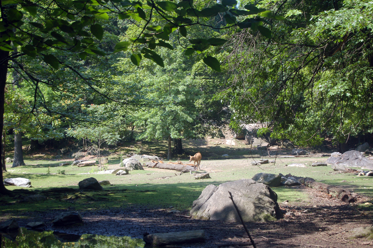 07-07-06, 011, Bronx Zoo, NYC