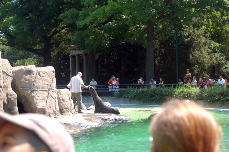 07-07-06, 025, Bronx Zoo, NYC