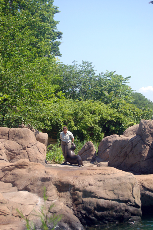 07-07-06, 026, Bronx Zoo, NYC