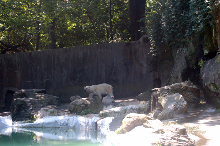 07-07-06, 032, Bronx Zoo, NYC
