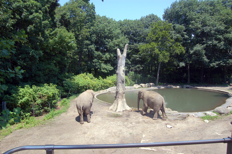 07-07-06, 048, Bronx Zoo, NYC