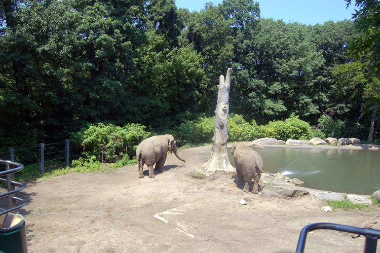 07-07-06, 049, Bronx Zoo, NYC