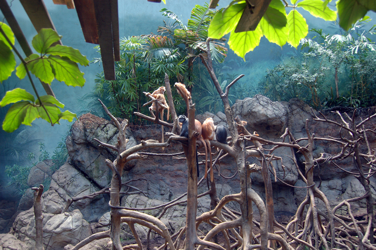 07-07-06, 057, Bronx Zoo, NYC