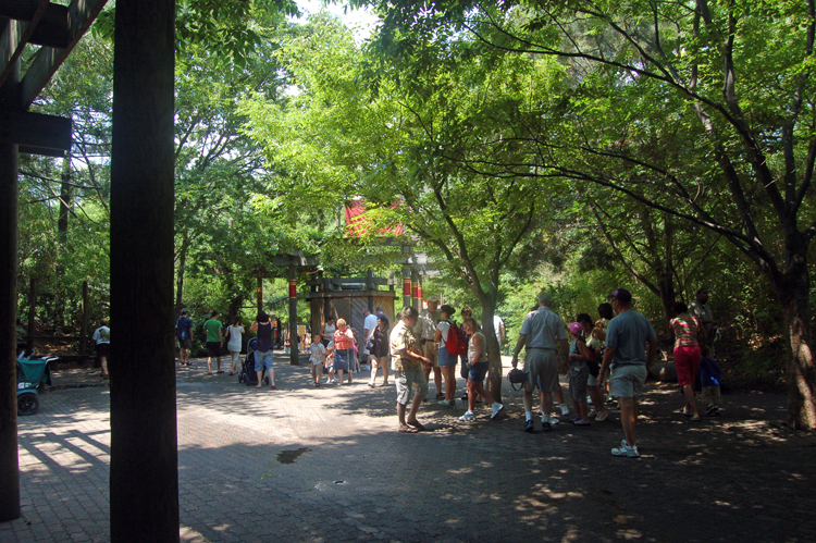 07-07-06, 069, Bronx Zoo, NYC