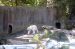 07-07-06, 034, Bronx Zoo, NYC