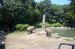 07-07-06, 049, Bronx Zoo, NYC
