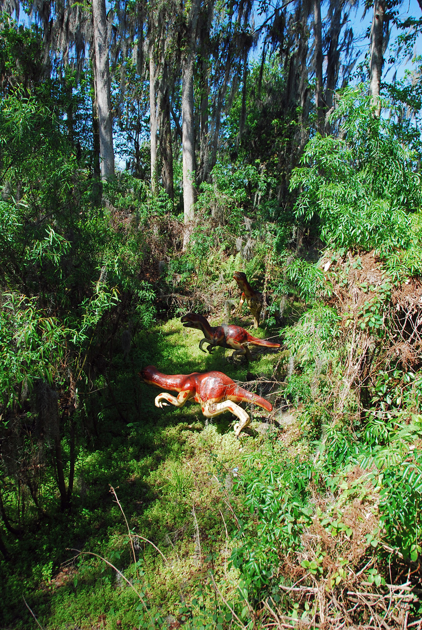 08-03-02, 019,  Dinosuar World, Fla