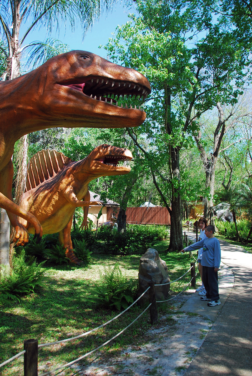 08-03-02, 035,  Dinosuar World, Fla