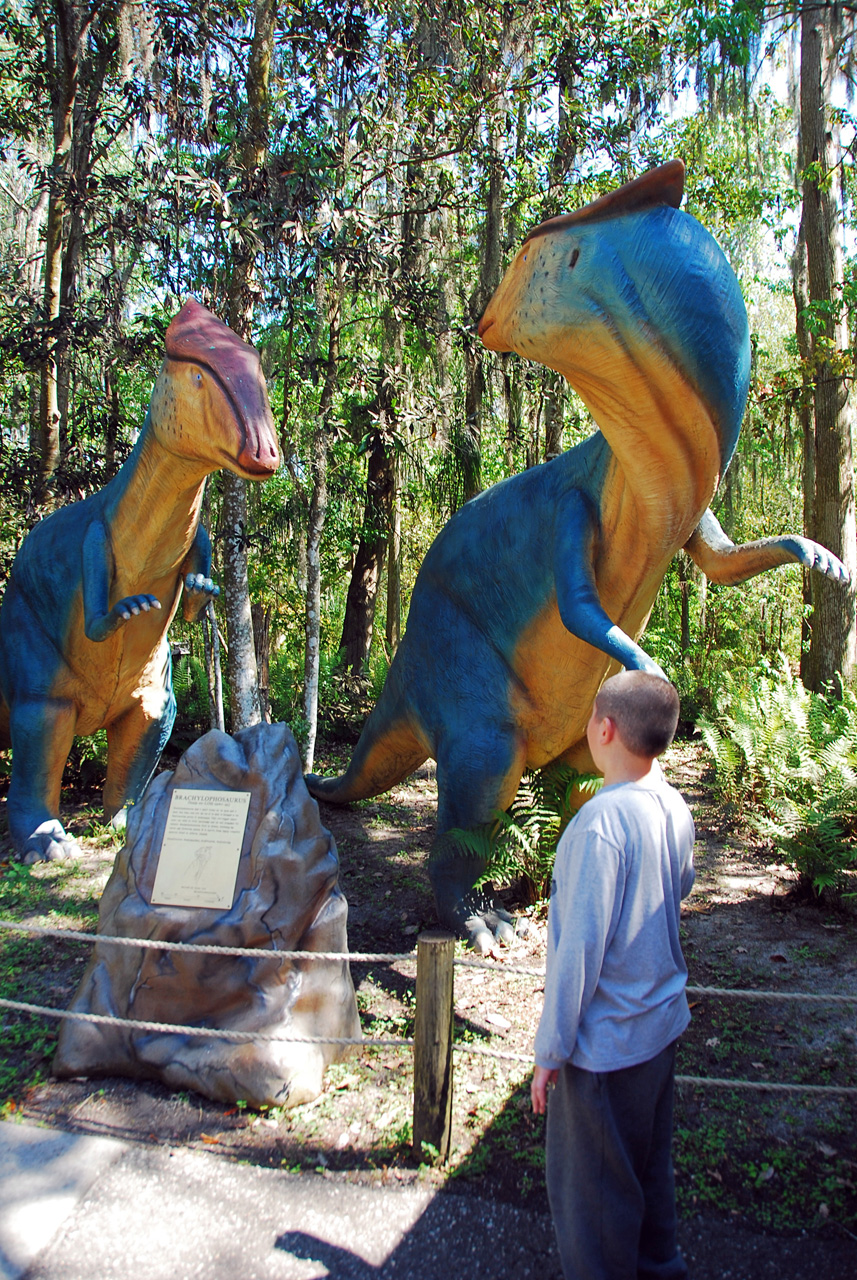 08-03-02, 038,  Dinosuar World, Fla