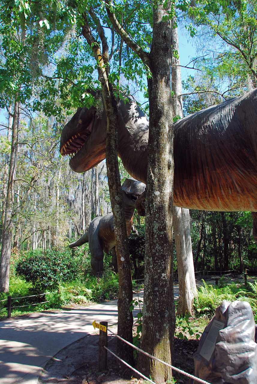 08-03-02, 039,  Dinosuar World, Fla