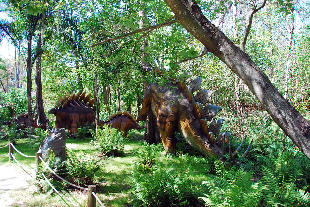 08-03-02, 047,  Dinosuar World, Fla