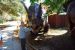 08-03-02, 012,  Dinosuar World, Fla