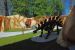 08-03-02, 014,  Dinosuar World, Fla