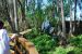 08-03-02, 018,  Dinosuar World, Fla