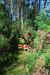 08-03-02, 019,  Dinosuar World, Fla