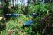 08-03-02, 020,  Dinosuar World, Fla
